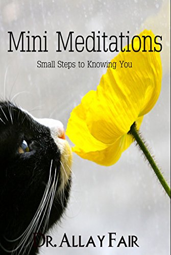 Mini Meditations: Every day meditational mood-stabilizers at home, work and sleep. (Easing your mind calm Book 1)