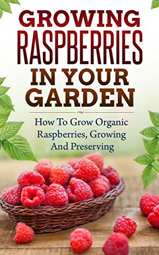 Growing Raspberries In Your Garden - How To Grow Organic Raspberries, Growing and Preserving: Canning, Preserving Berries, Backyard Berries, Square Foot ... Raspberry Jam, Own Berries, Raspberry)