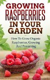 Growing Raspberries In Your Garden - How To Grow Organic Raspberries, Growing and Preserving: Canning, Preserving Berries, Backyard Berries, Square Foot ... Raspberry Jam, Own Berries, Raspberry)