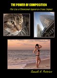 The Power of Composition: The Use of Emotional Appeal to Create Impact
