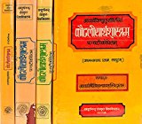 : Kautilya's Arthasastra with Five Commentaris (Set of 4 Volumes)