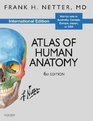 Atlas of Human Anatomy (International Edition) (6th Edition)