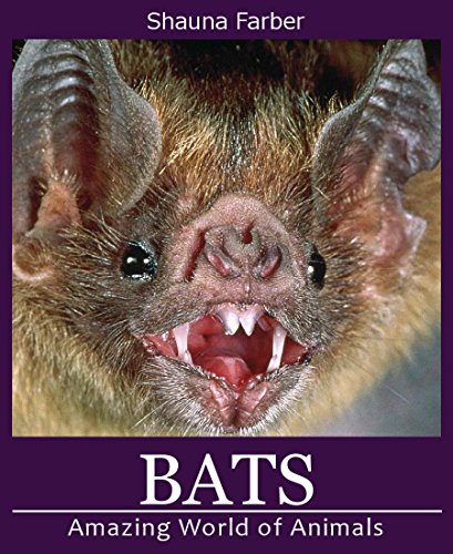 Bats (Amazing World of Animals Book 4)