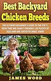 Best Backyard Chicken Breeds: The Ultimate Beginner's Guide to the  Top 15 Hens that are Family-Friendly,  Lay Plenty of Eggs and are  Suited to Small Yards