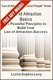Law of Attraction Basics: 15 Powrful Principles to Build Your Law of Attraction Success (Law of Attraction for Smart People)