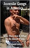 Juvenile Gangs (Juvenile Delinquency & Juvenile Justice Book 11)