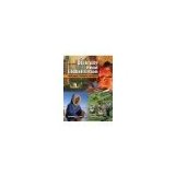 Diversity Amid Globalization: World Regions, Environment, Development by Rowntree, Lester, Lewis, Martin, Price, Marie, Wyckoff, Will [Prentice Hall, 2006] ( Hardcover ) 3rd edition [Hardcover]