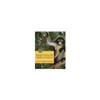 Essentials of Physical Anthropology: Discovering Our Origins by Larsen, Clark Spencer [W. W. Norton & Company, 2012] ( Paperback ) 2nd edition [Paperback]