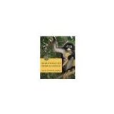 Essentials of Physical Anthropology: Discovering Our Origins by Larsen, Clark Spencer [W. W. Norton & Company, 2012] ( Paperback ) 2nd edition [Paperback]