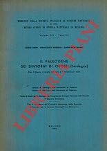 Il Paleogene dei dintorni di Orosei (Sardegna) .