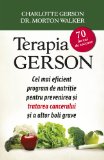 Terapia Gerson (Romansh Edition)