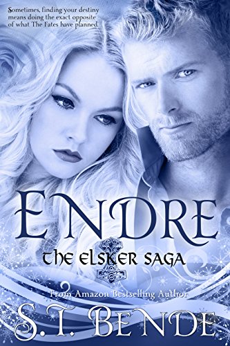 Book Cover Endre (Elsker Saga Book 2)