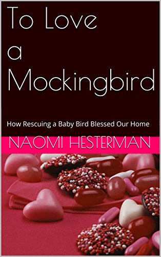 To Love a Mockingbird: How Rescuing a Baby Bird Blessed Our Home
