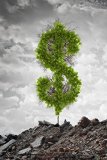 Basic Economic Concepts and the Role of Individual Choice in the Free Market: Fifth Grade Social Science Lesson, Activities, Discussion Questions and Quizzes