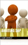 SAP Audits: sap audit information system ,sap audit program ,sap audit management , sap audit transaction codes, sap audit guidelines