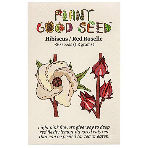 Hibiscus sabdariffa/Roselle Seeds - Pack of 30, Certified Organic, Non-GMO, Open Pollinated, Untreated Flower Seeds for Planting – from USA
