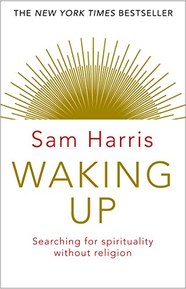 Waking Up: Searching for Spirituality Without Religion (English Edition)