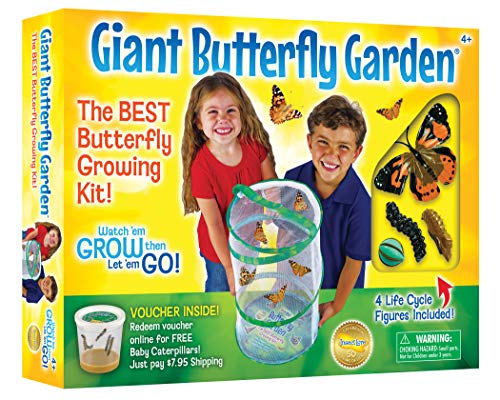 Book Cover Insect Lore Giant Butterfly Garden with Voucher, Green/White