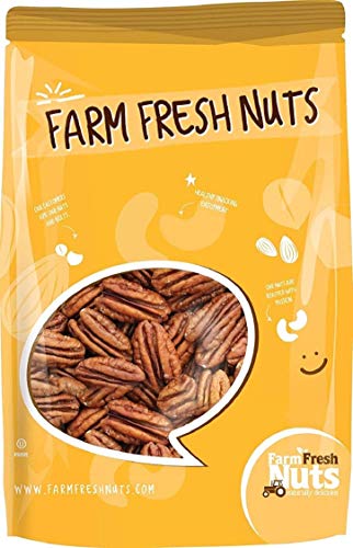 Book Cover Whole, Shelled & Dry Roasted Georgia Pecans With Himalayan Salt (1 Lb.) - Small Batch Roasted - Vegan & Keto Friendly - Healthy Southern Tastiness - Farm Fresh Nuts Brand