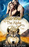 Marked By The Alpha Wolf: Book Two (Braving Darkness 2)