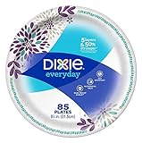 Dixie 8 1/2 Inch Plates 95 CT (Pack Of 2)