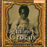 Yellow Crocus