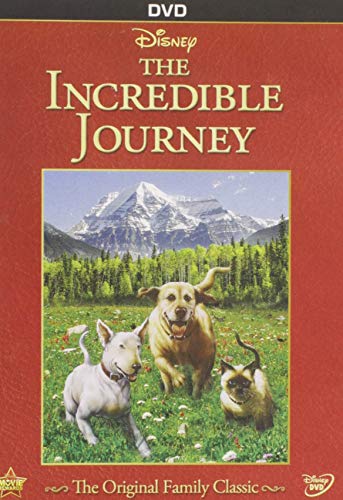 The Incredible Journey