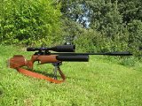 Air gun shooting  How to get shooting Permission in the UK: Air rifle Hunting - Getting Land To Shoot on