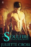 Soulfire (Nightwing series Book 1)