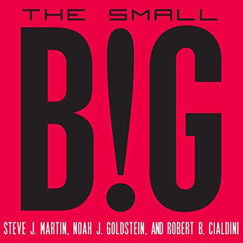 Book Cover The Small Big: Small Changes That Spark Big Influence