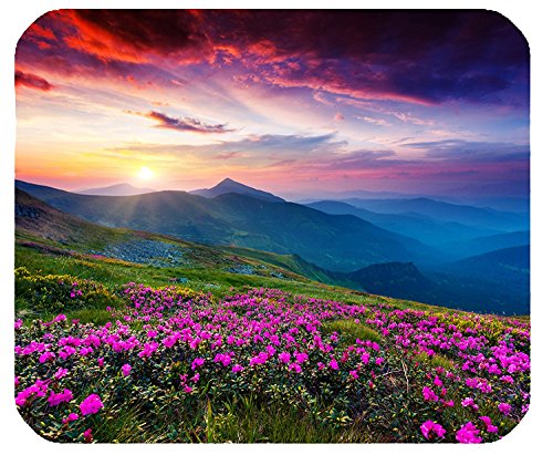 Book Cover Nature Purple Flowers Meadow Mountain Scenic Large Mousepad Mouse Pad Great Gift Idea