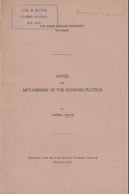 Notes on Metamerism of the Echinoid Pluteus