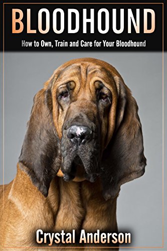 Bloodhound: How to Own, Train and Care for Your Bloodhound