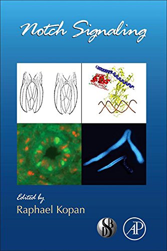 Notch Signaling: 92 (Current Topics in Developmental Biology)