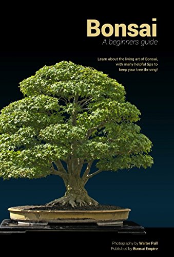 Bonsai: A beginners guide