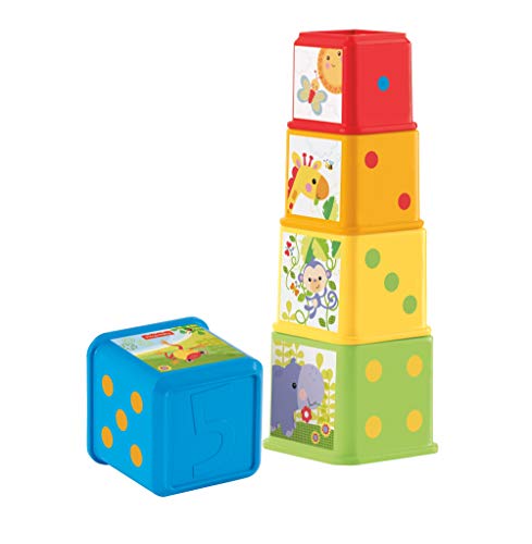 Book Cover Fisher-Price Stack and Explore Blocks