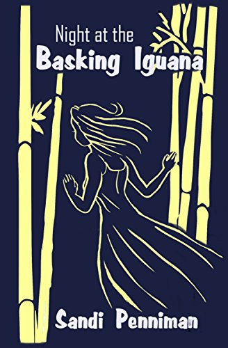 Night at the Basking Iguana