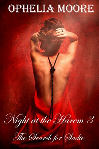 Night at the Harem 3: The Search for Sadie