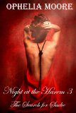 Night at the Harem 3: The Search for Sadie