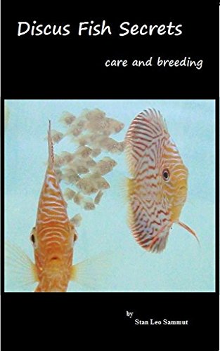 Discus Fish Secrets: care and breeding