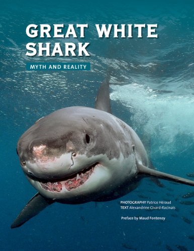 By Alexandrine Civard-Racinais Great White Shark: Myth and Reality