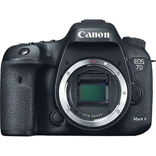 Book Cover Canon EOS 7D Mark II Digital SLR Camera (Body Only)