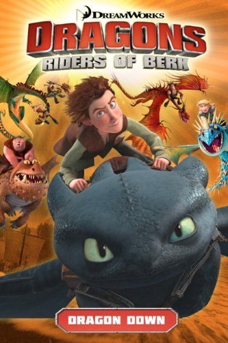 DreamWorks' Dragons: Riders of Berk - Volume 1: Dragon Down (How to Train Your Dragon TV) by Furman, Simon (2014) Paperback