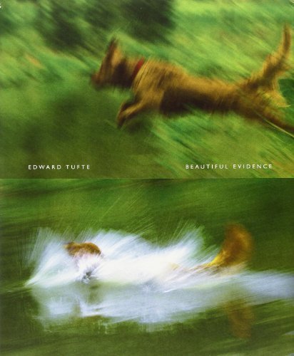 Beautiful Evidence by Tufte, Edward R. (2006) Hardcover