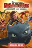 DreamWorks' Dragons: Riders of Berk - Volume 1: Dragon Down (How to Train Your Dragon TV) by Furman, Simon (2014) Paperback