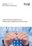 Credit Card Customer Segmentation: Essential first step for a profitable credit card customer portfolio