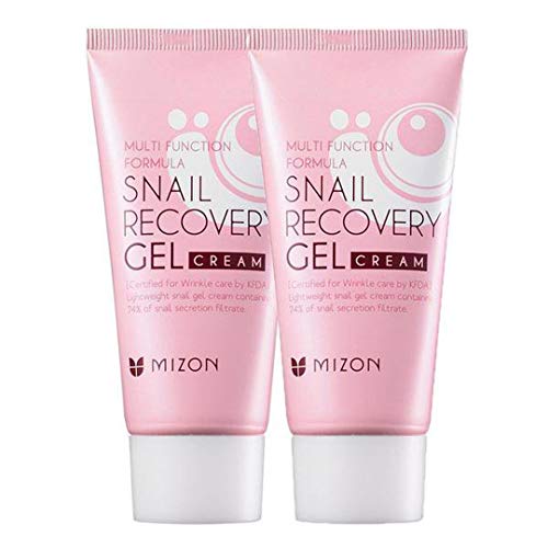 Book Cover Korean Gift Set: Skincare Set, Set of Two Snail Recovery Gel Cream for Wrinkle Care Skin Elasticity and Moisture, Fragrance Free, Paraben Free (45ml 1.52 fl.oz) - 2 pcs