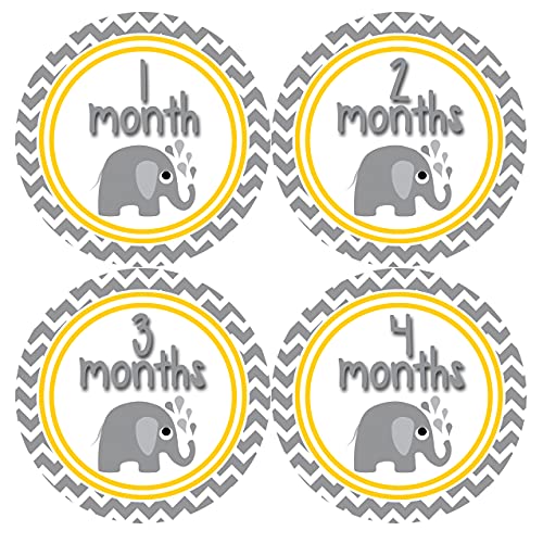 Book Cover Months In Motion Gender Neutral Monthly Baby Milestone Stickers Unisex Boy or Girl