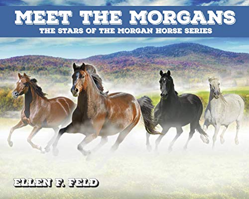 Meet The Morgans: The Stars of the Morgan Horse Series