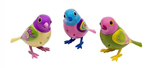 Digi Birds Twinkle's Trio- Set of 3 Digibirds by Digi Birds
